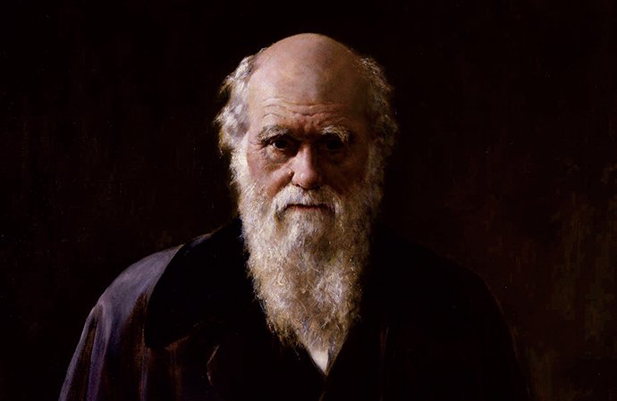 Cultura da plataforma