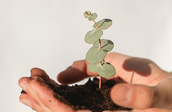 Procuramos tuas Ideias