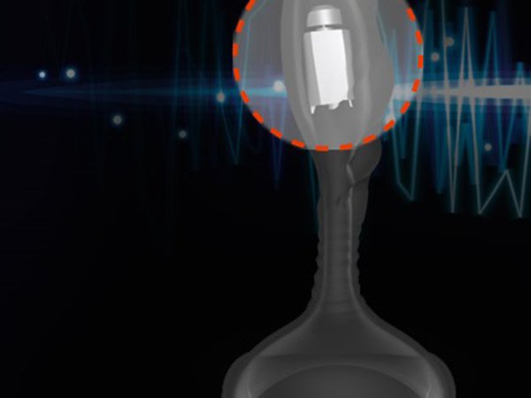 Plug anal saliente de silicone